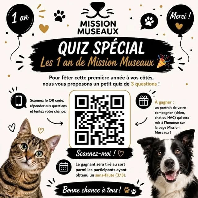 Affiche du quiz des 1 an de Mission Museaux