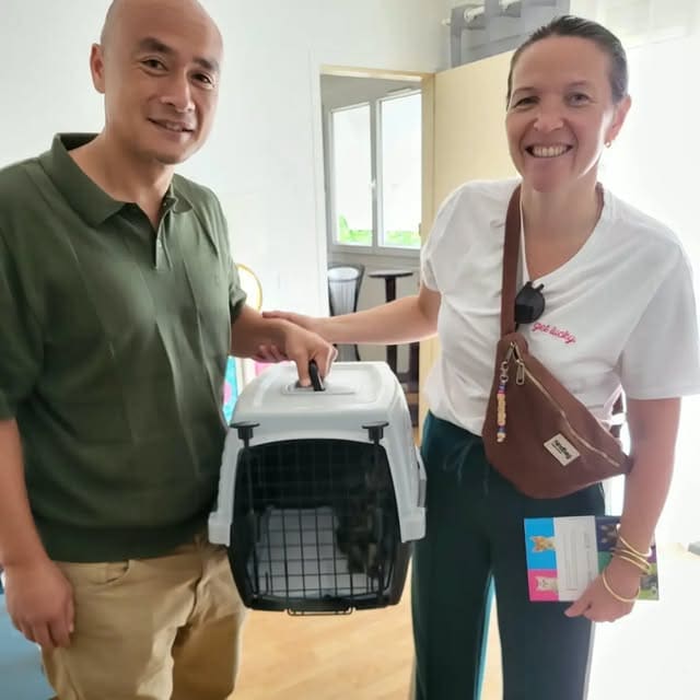 Remise d’un chat adopté dans sa caisse de transport